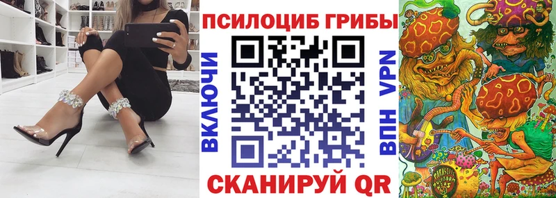 Псилоцибиновые грибы мицелий  цены   Лодейное Поле 